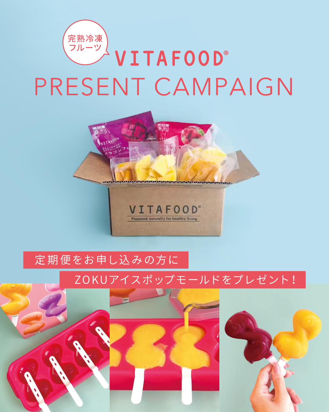 VITAFOOD_zoku_1080-1350.jpg