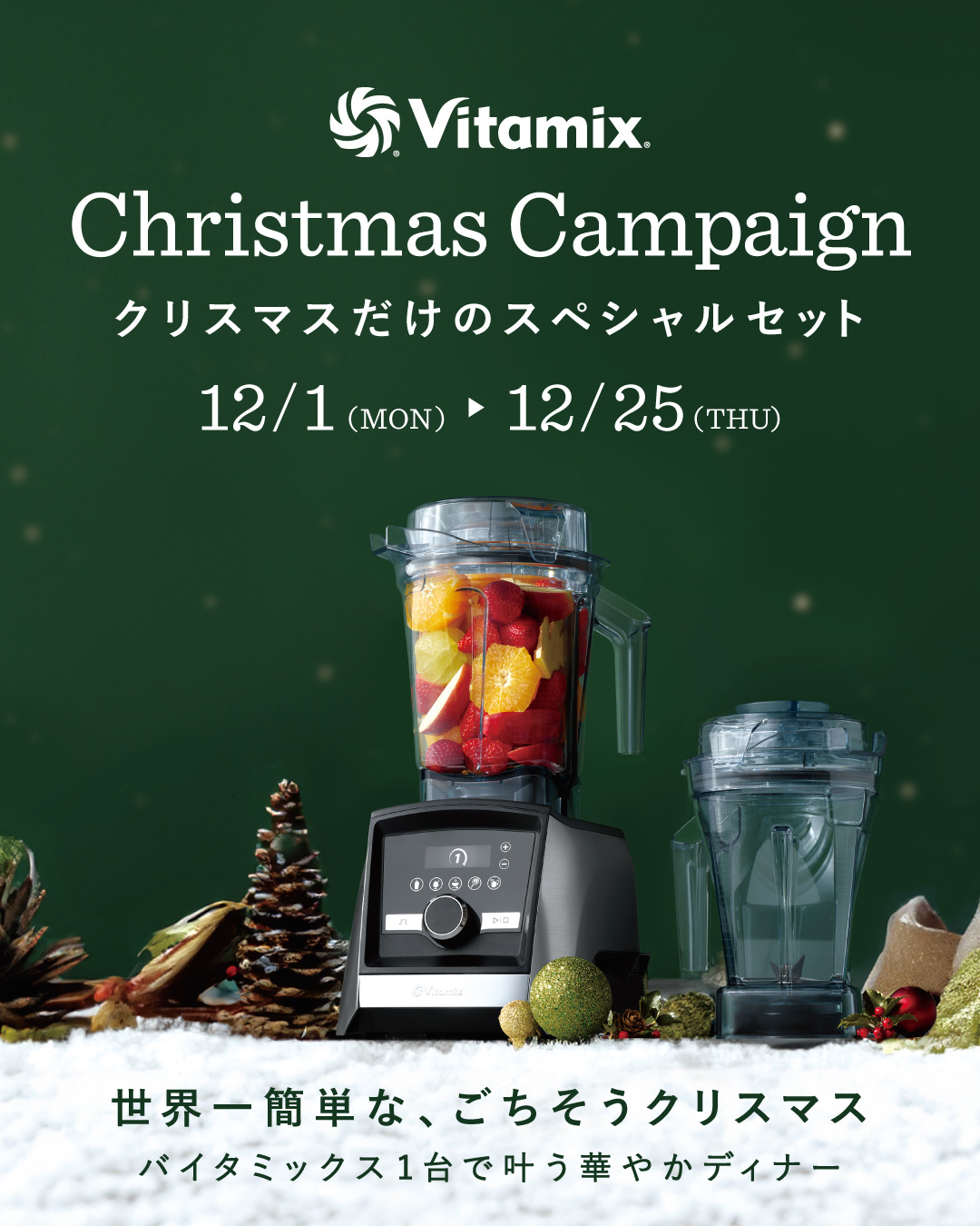 Vitamix_xmasCP_1080-1350.jpg