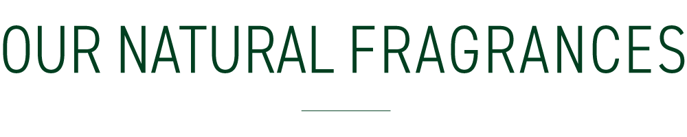 Natural Fragrances