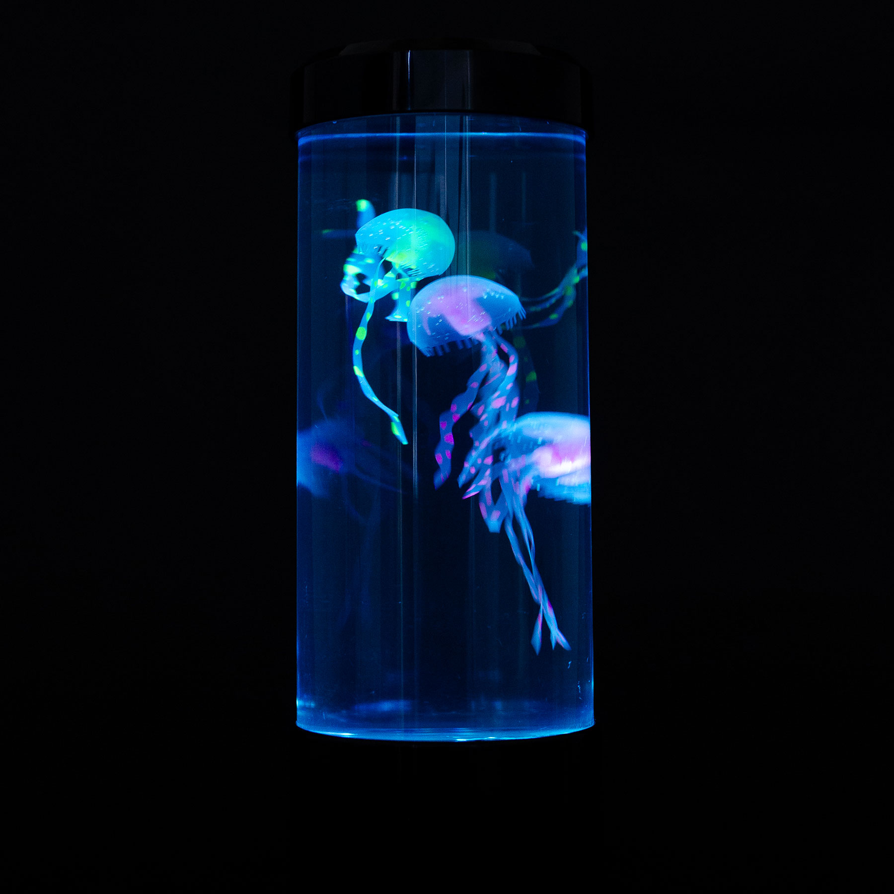 ゆらゆら泳ぐクラゲ