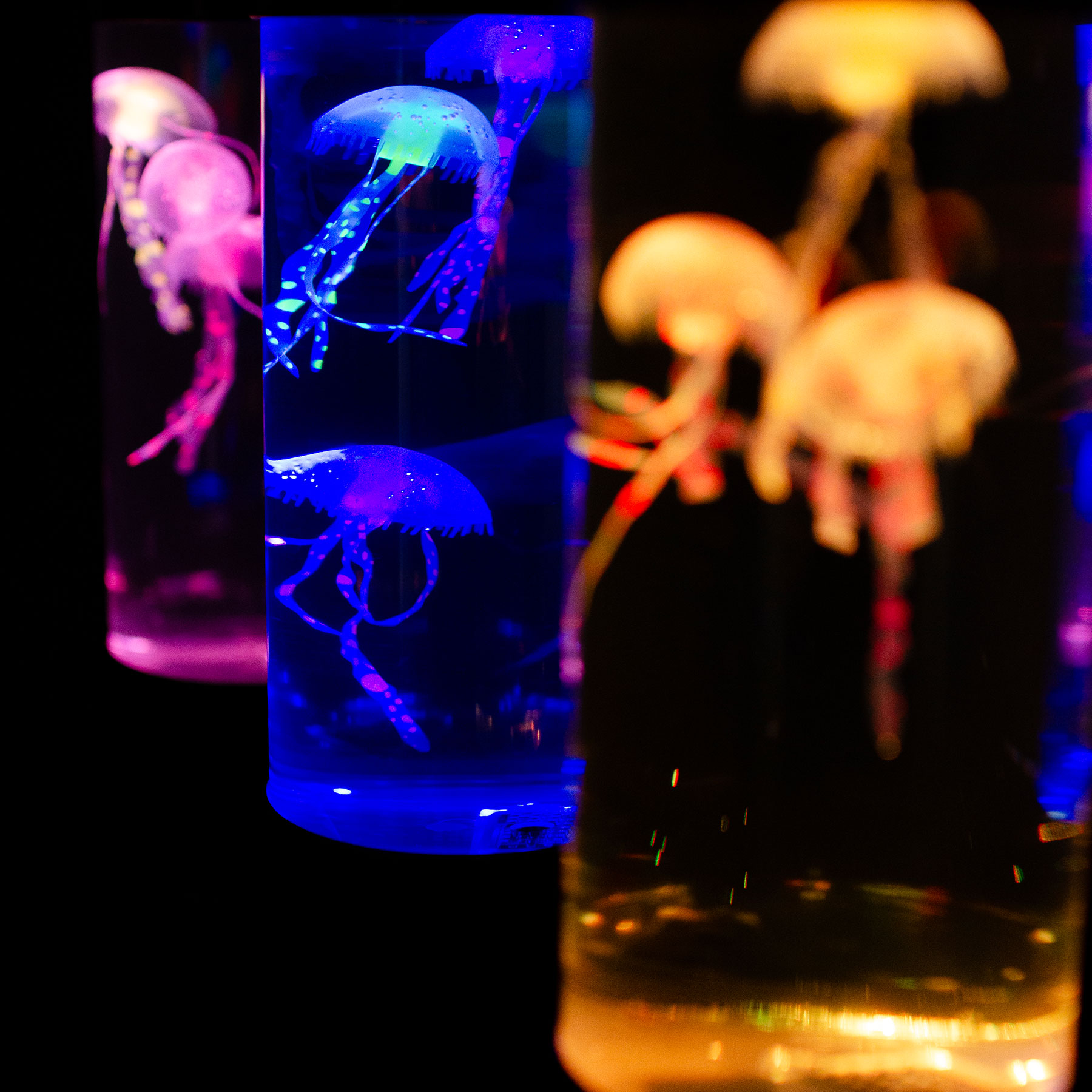 7色のグラデーション