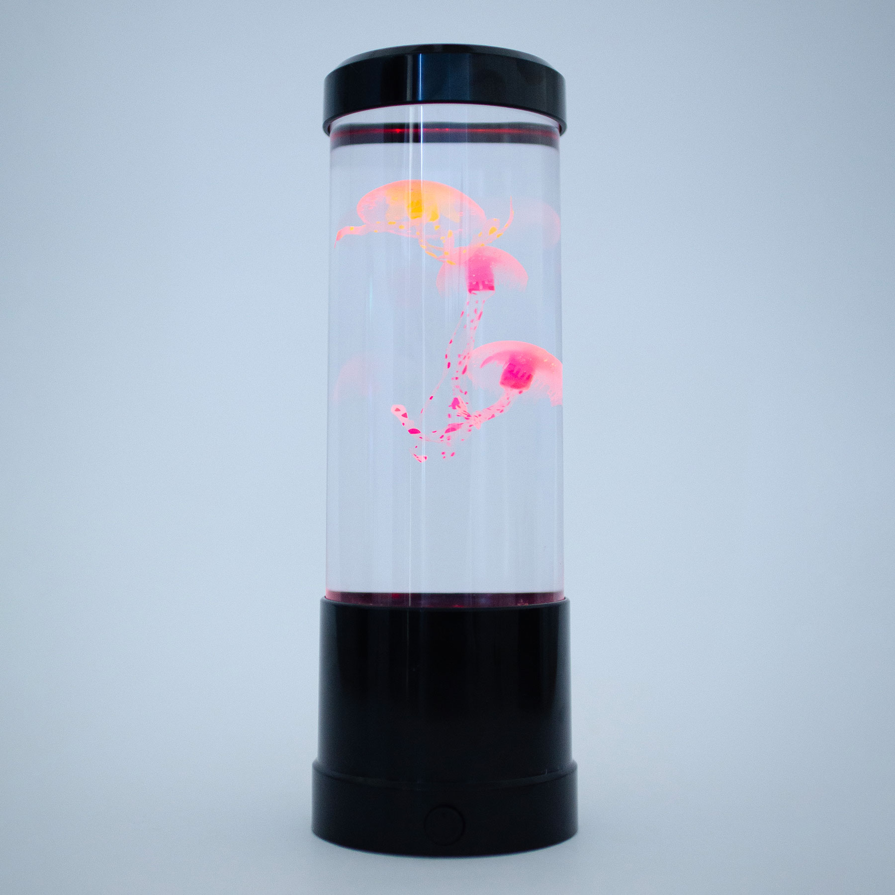 コンパクトなサイズ感