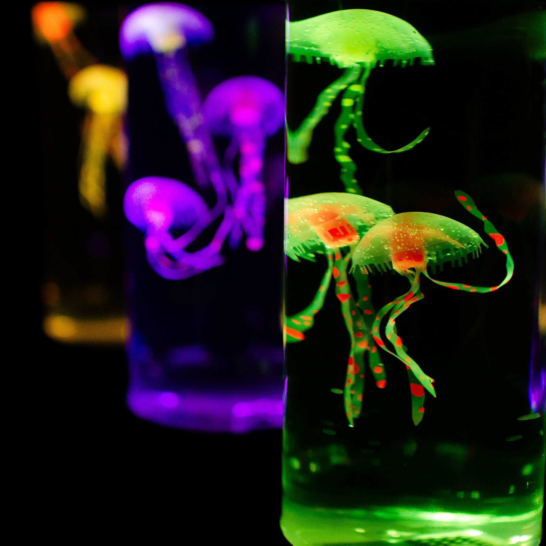 ギフトパッケージイメージ