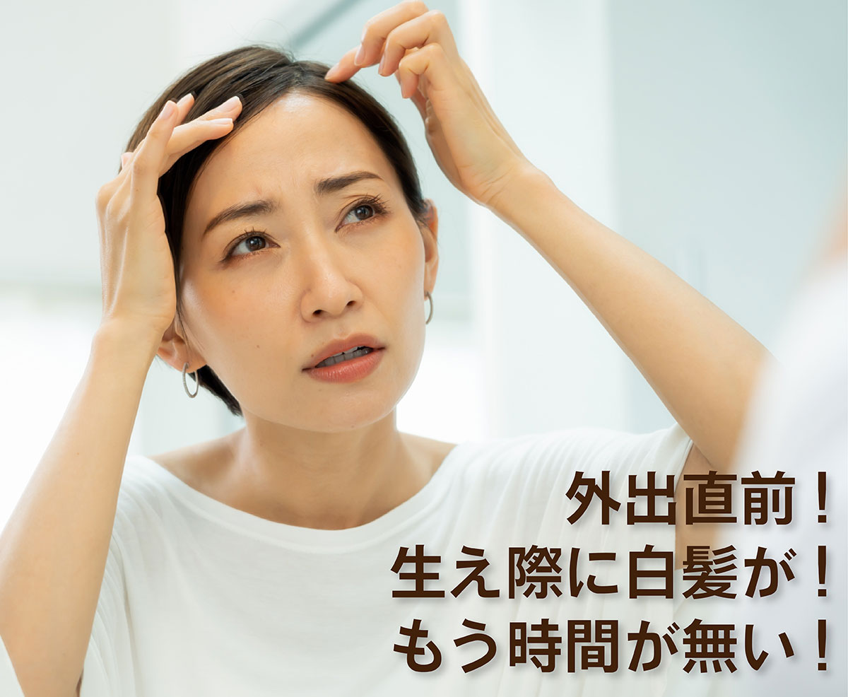シラガネーゼ