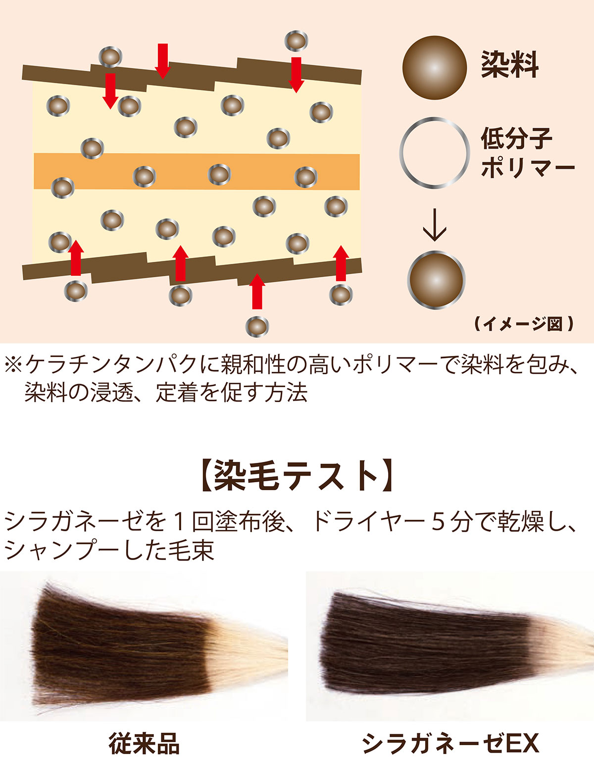 シラガネーゼ