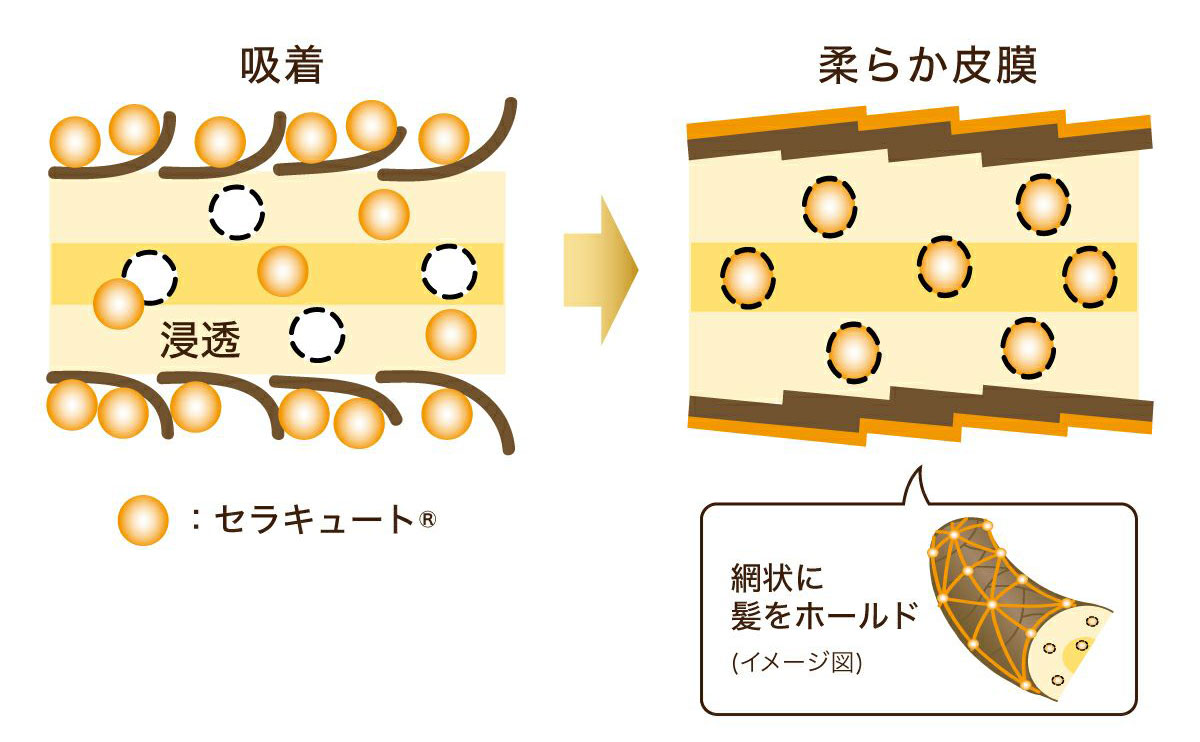 シラガネーゼ