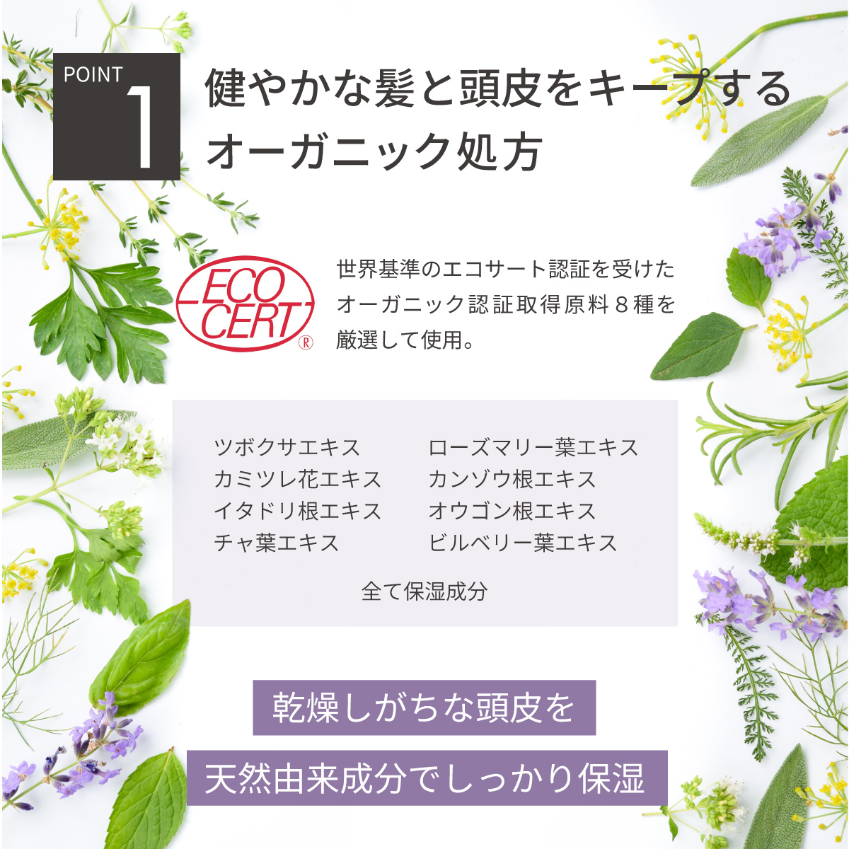 BTSスカルプシャンプー＆トリートメントセット