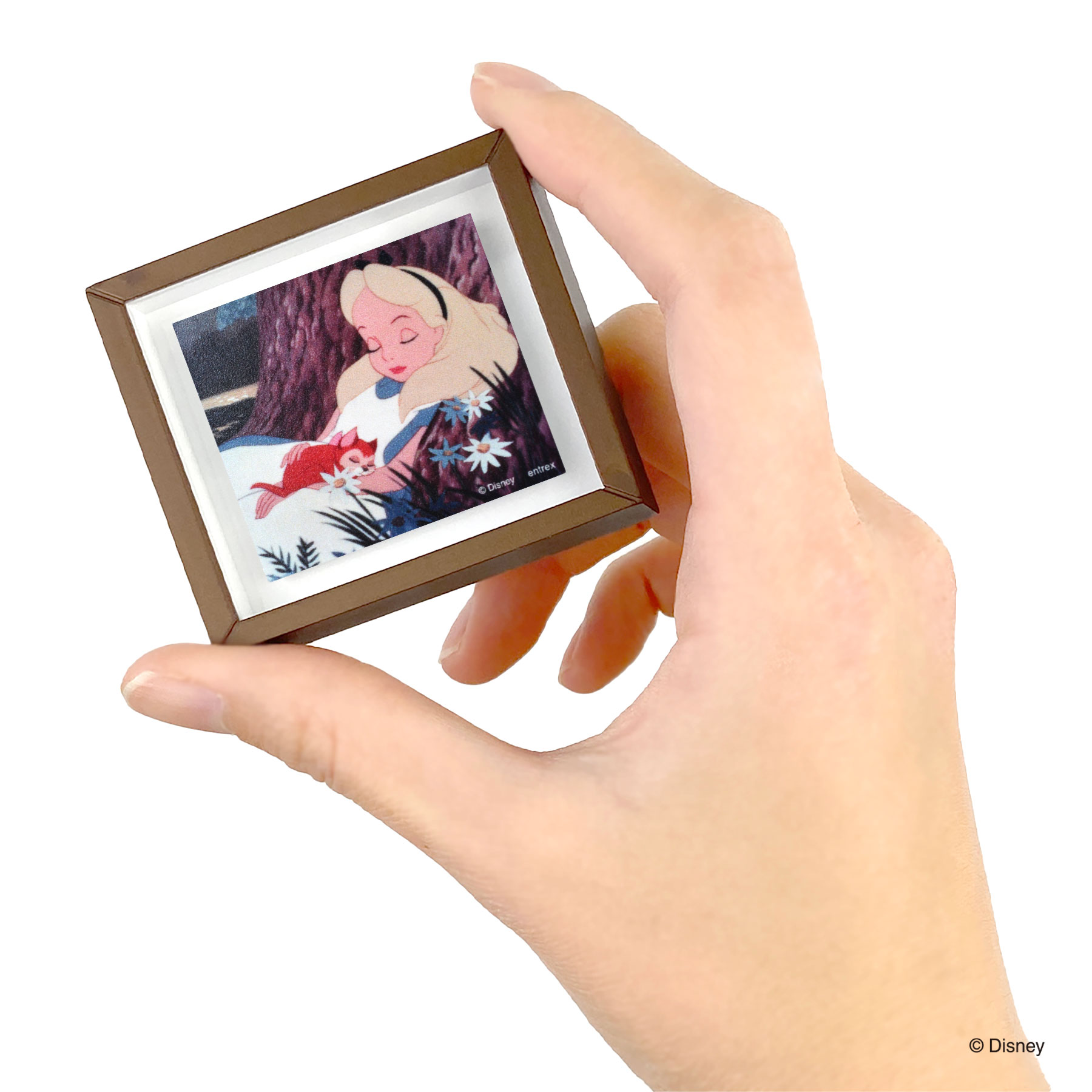 ふしぎの国のアリス