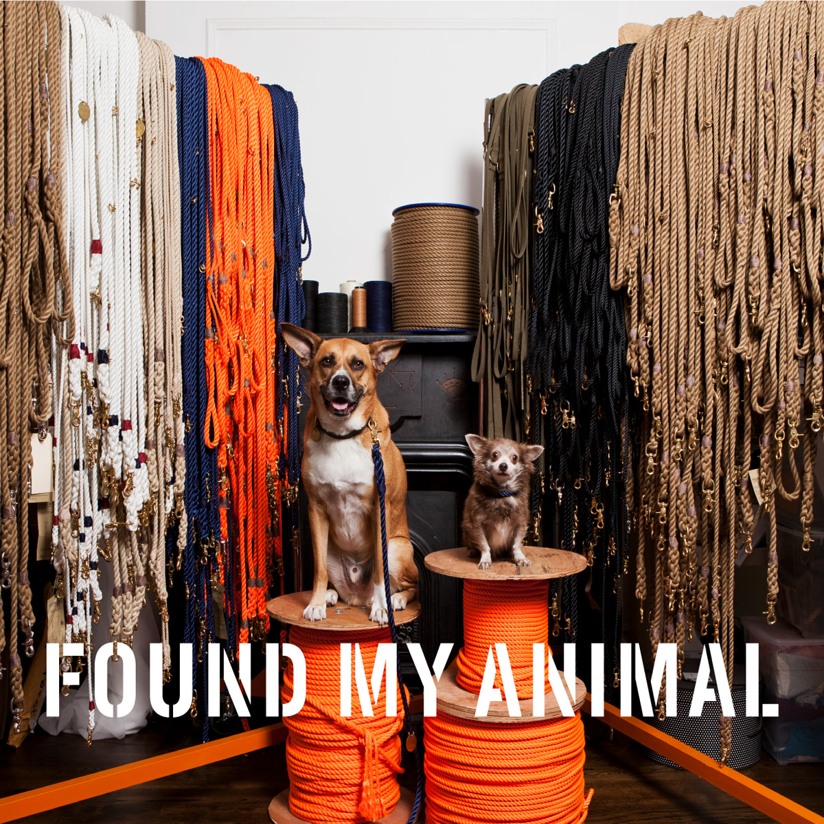 FOUND MY ANIMAL／ファウンド マイ アニマル