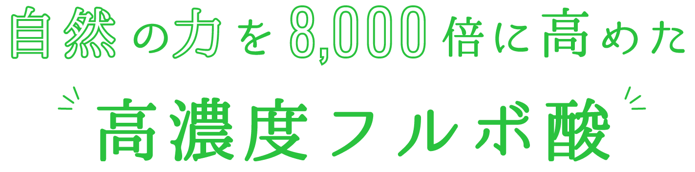 FULVOタイトル