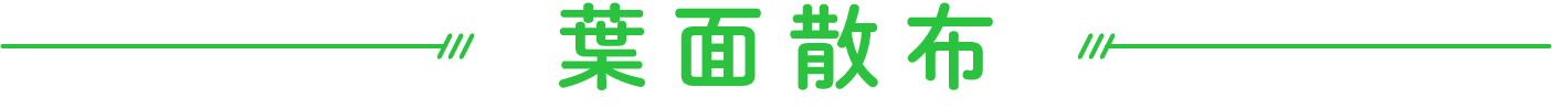 葉面散布