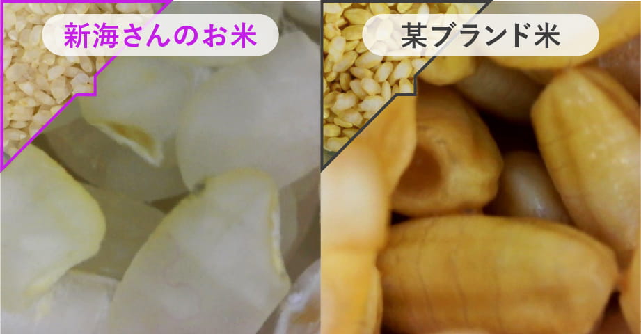 菌抑制