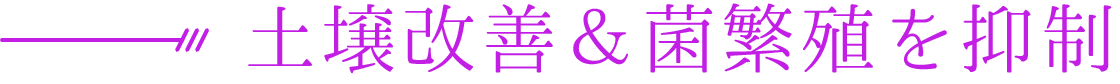 FULVO菌抑制