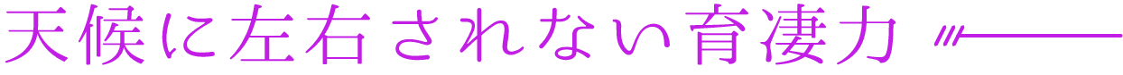 環境耐性