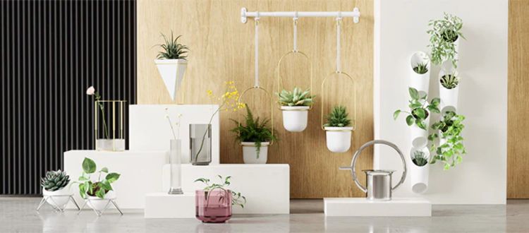 umbraガーデニング