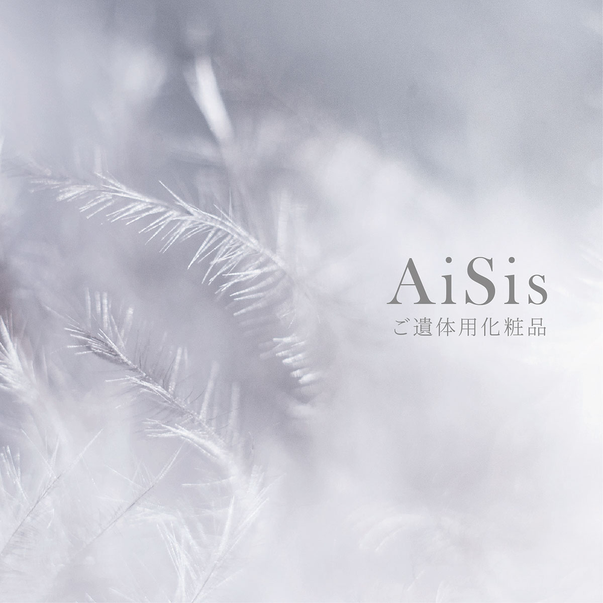 AiSis／アイシス