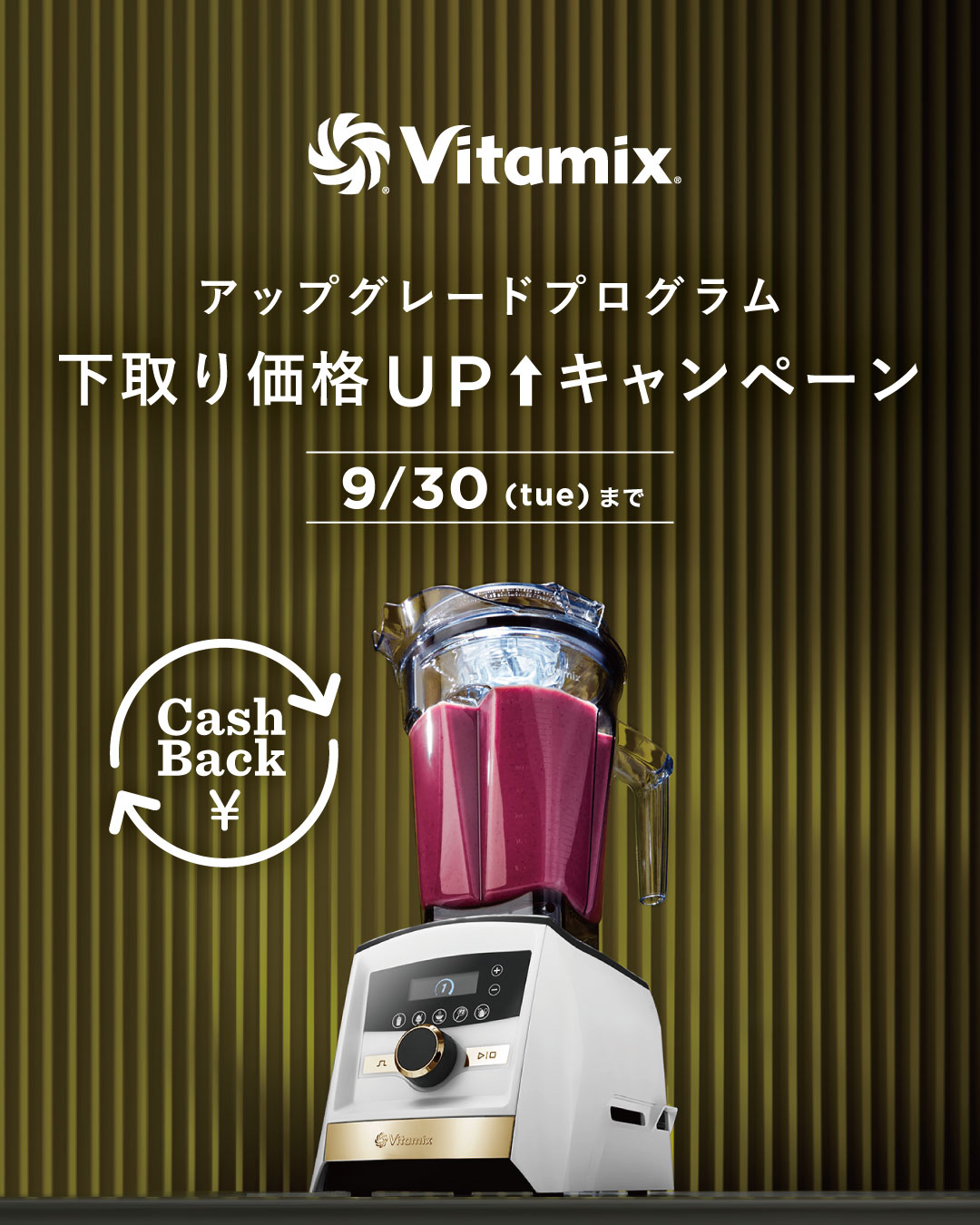 upgrade_1080-1350.jpg