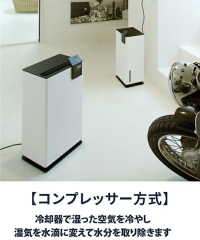 Stadler Form(スタドラフォーム)/Albert 衣類乾燥除湿機 | entresquare.com