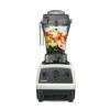 【公式】バイタミックス VitamixE310日本正規輸入代理店