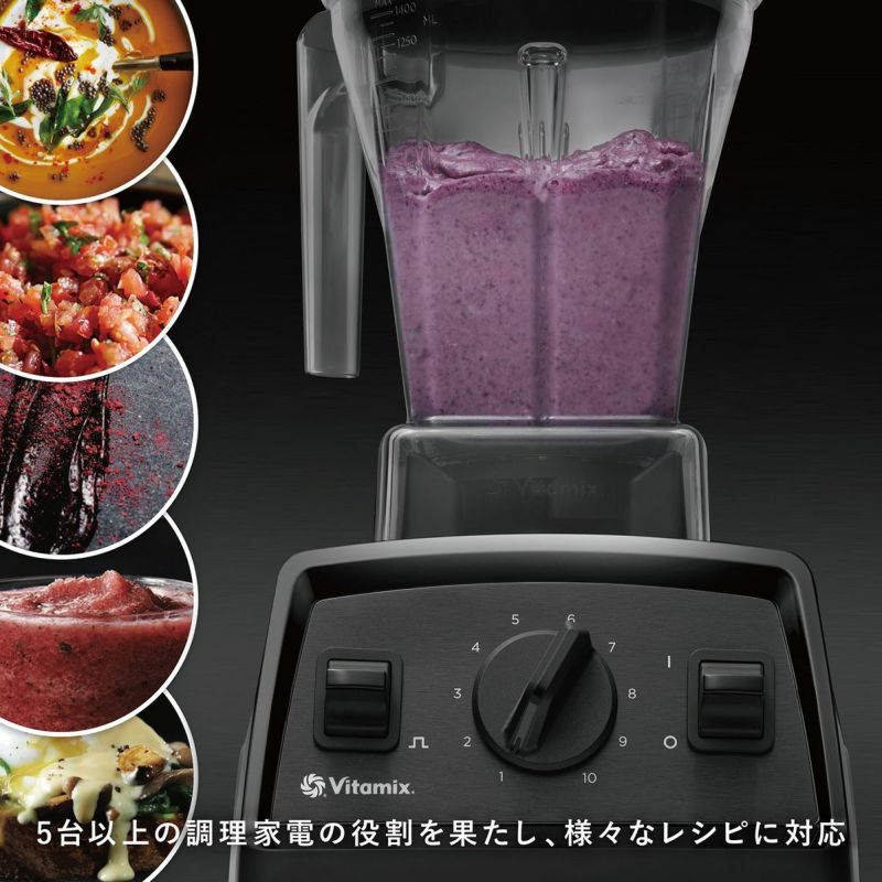 【公式】バイタミックス VitamixE310日本正規輸入代理店