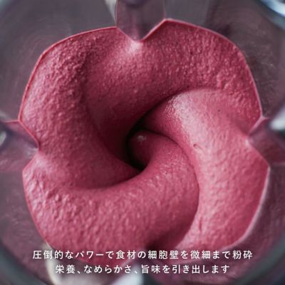  【公式】バイタミックス VitamixA2500i（単品）日本正規輸入代理店