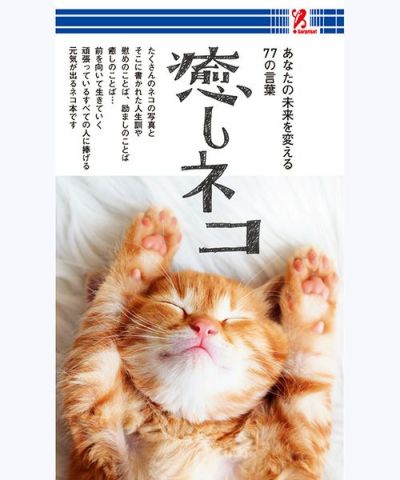 Surprisebook サプライズブック 癒しネコ Entresquare Com Surprisebook サプライズブック 癒しネコ Entresquare Com