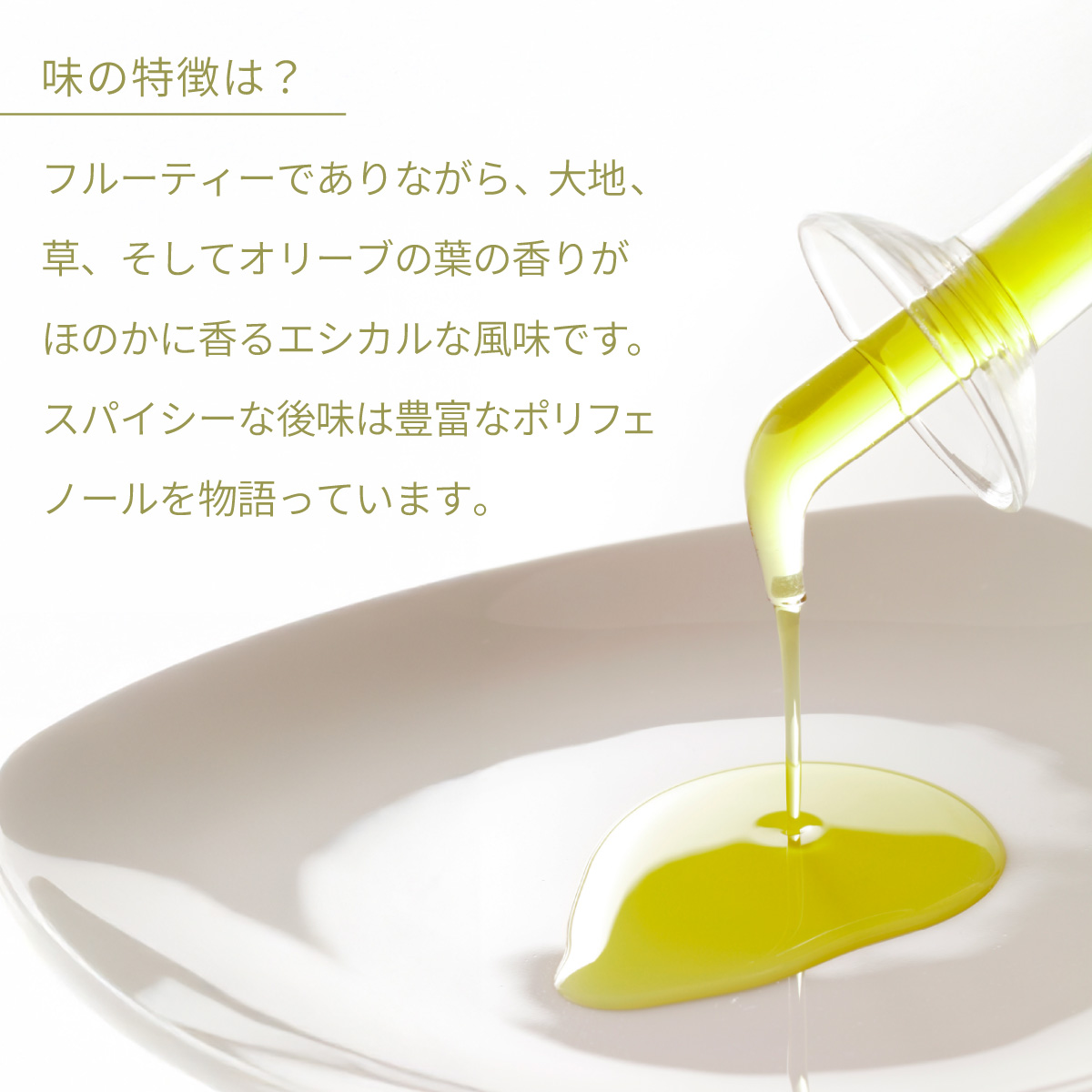 金賞受賞 NICHEN Typical エキストラバージンオリーブオイル250ml×12本セット