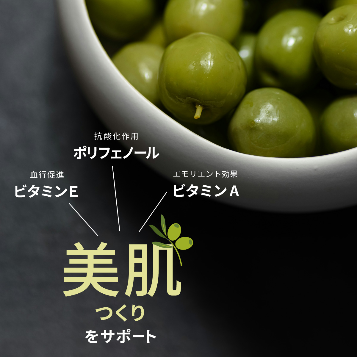 金賞受賞 NICHEN Typical エキストラバージンオリーブオイル250ml×12本セット