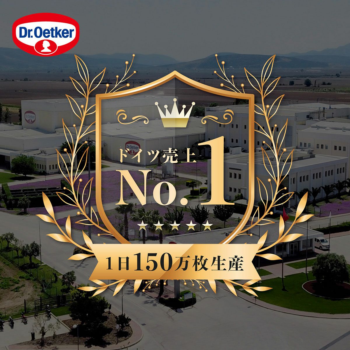 Dr.オツカーリストランテ グルテンフリー モッツァレラ（ピザ）直径25cm 1枚入×3箱セット【代引き不可】