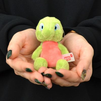 NICI(ニキ)/キーリング サンセットドリーム2024 タートル タテウス