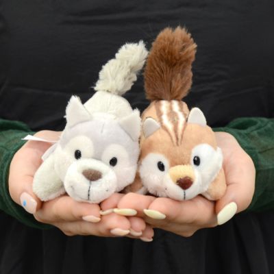 NICI(ニキ)/MN FF2024 ウルフ ウィニー 12cm | entresquare.com