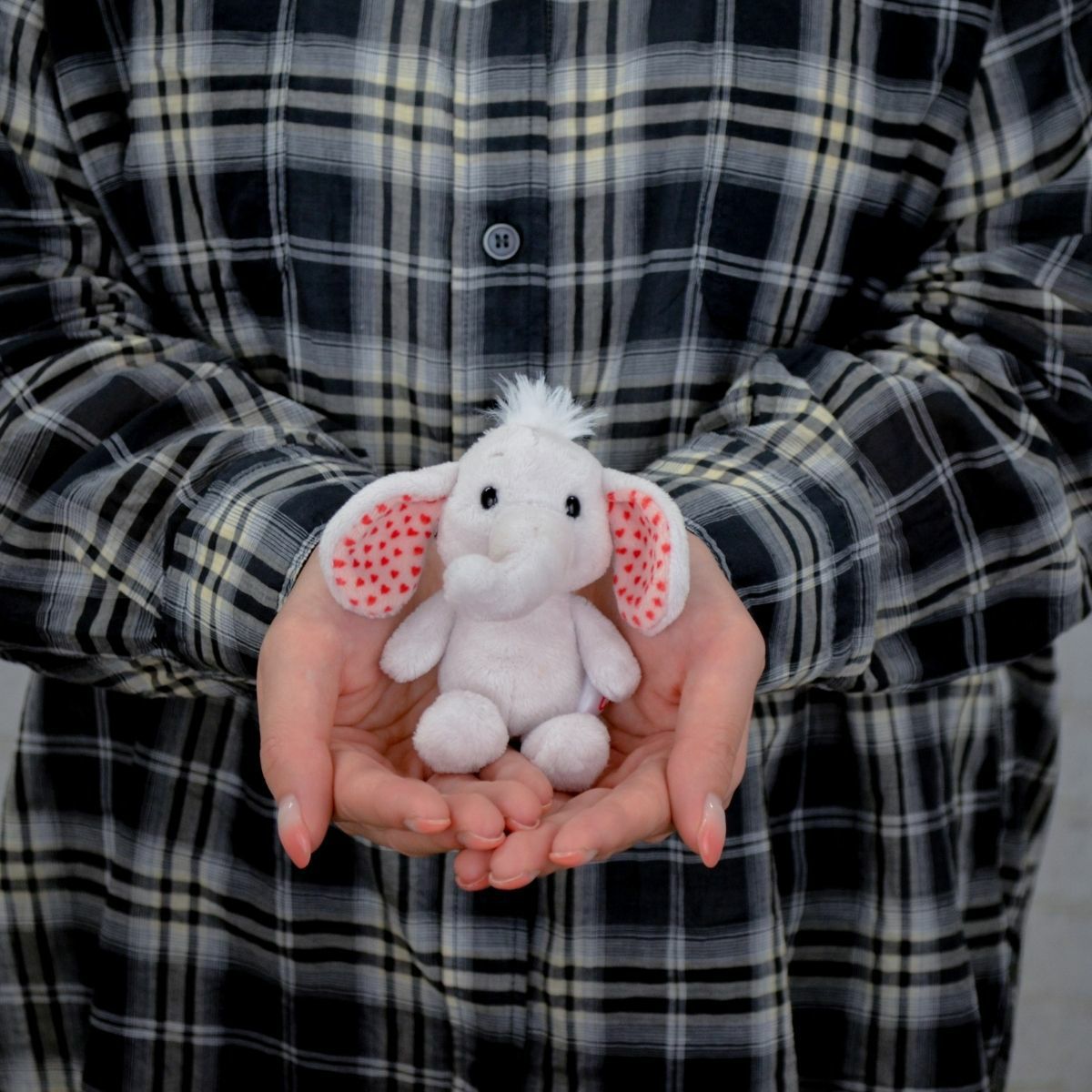 キーホルダー Love Classic 2024 エレファント LGY リア 10cm／NICI