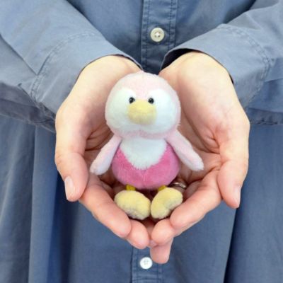 AmiAmi [Character & Hobby Shop] | TENITOL Nijika Ijichi Cafe