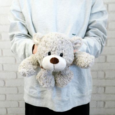 NICI(ニキ)ベアフレンズ25 ベア フィニー ネソベリ ぬいぐるみ